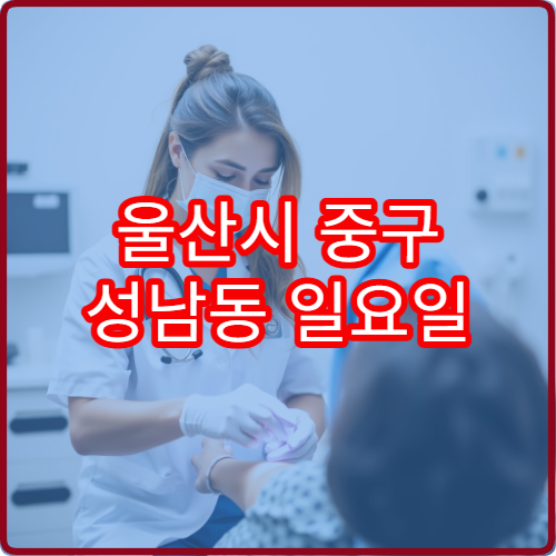 울산시 중구 성남동 일요일 내과 진료 가능한 병원 일요일 운영 안내