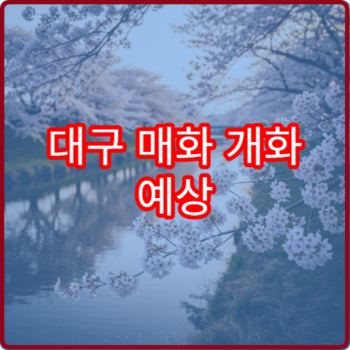 대구 매화 개화 예상 대구 매화꽃 절정 시기