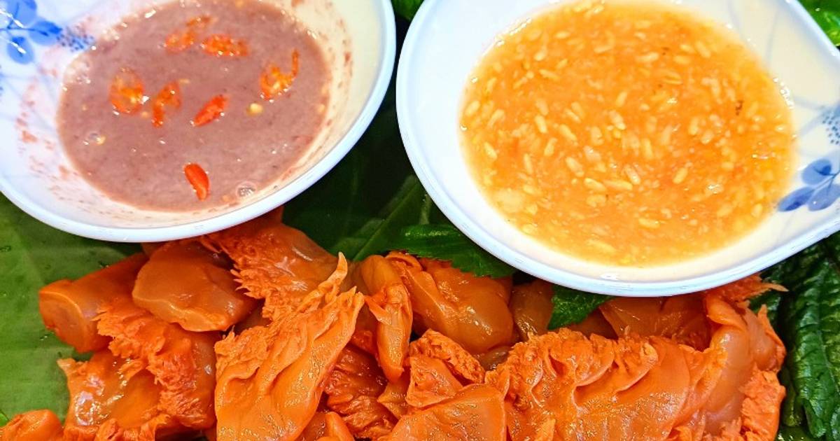 Mùa sứa đỏ Hải Phòng