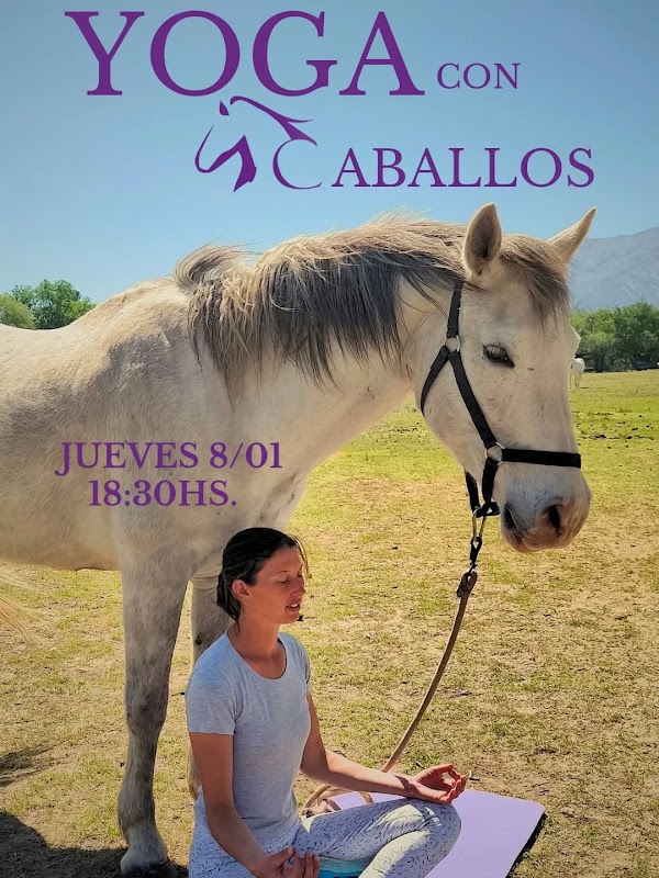 Yoga con Caballos