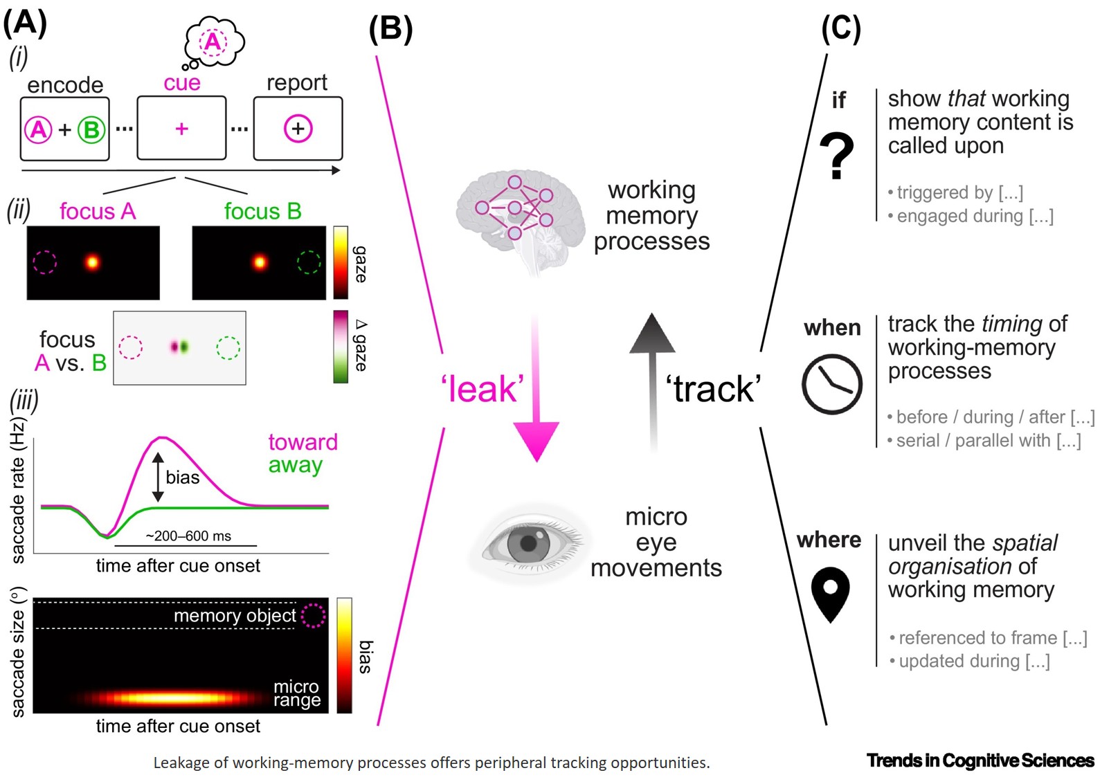 Micro eye movements and  working memory