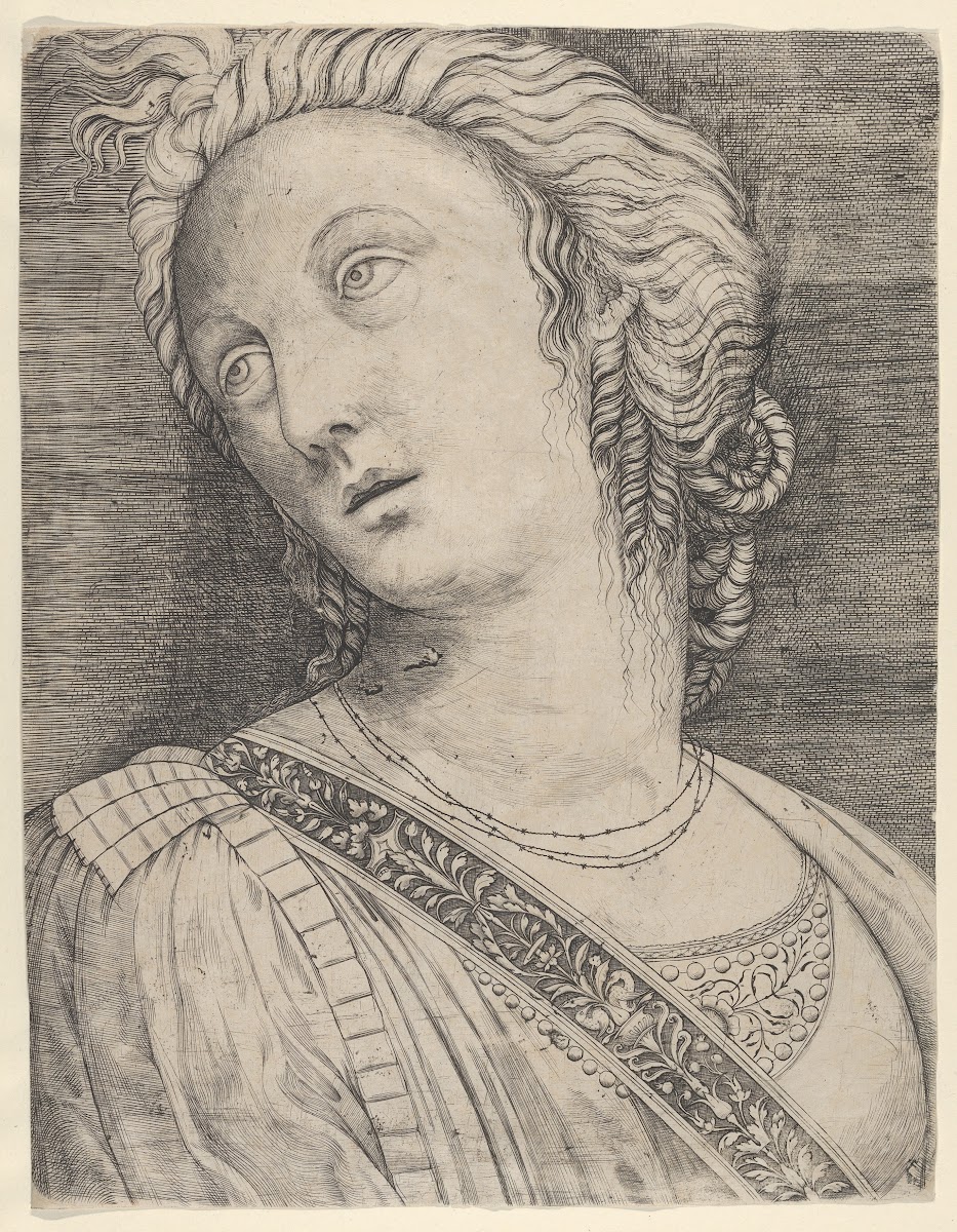 Bust of a woman with her head turned to the left ca 1506