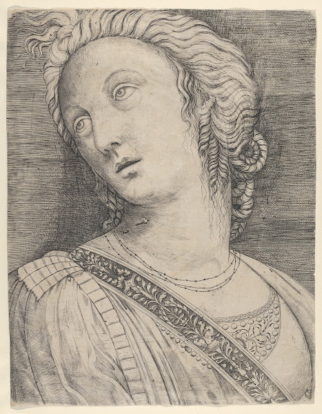 Bust of a woman with her head turned to the left ca 1506