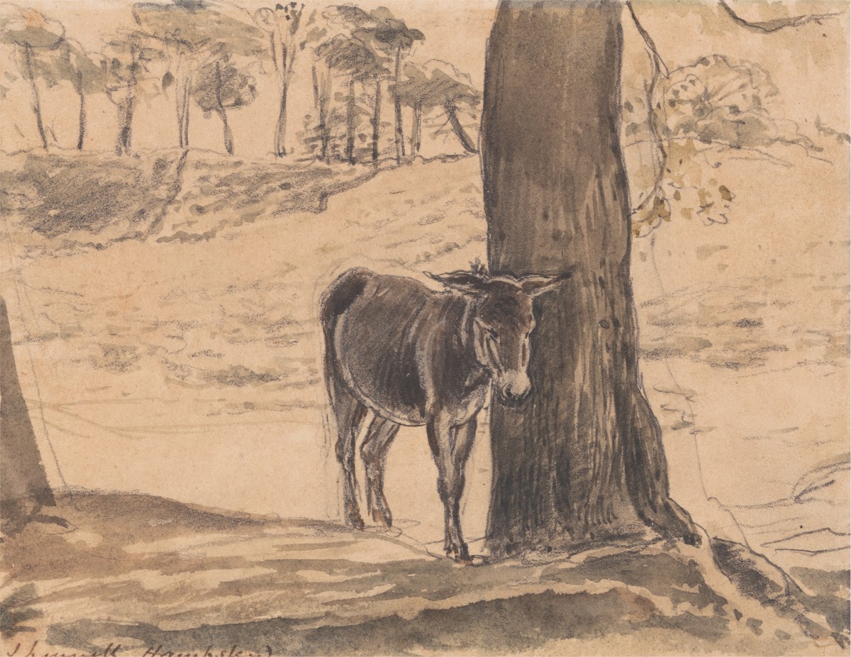 Donkey Beside a Tree Hampstead