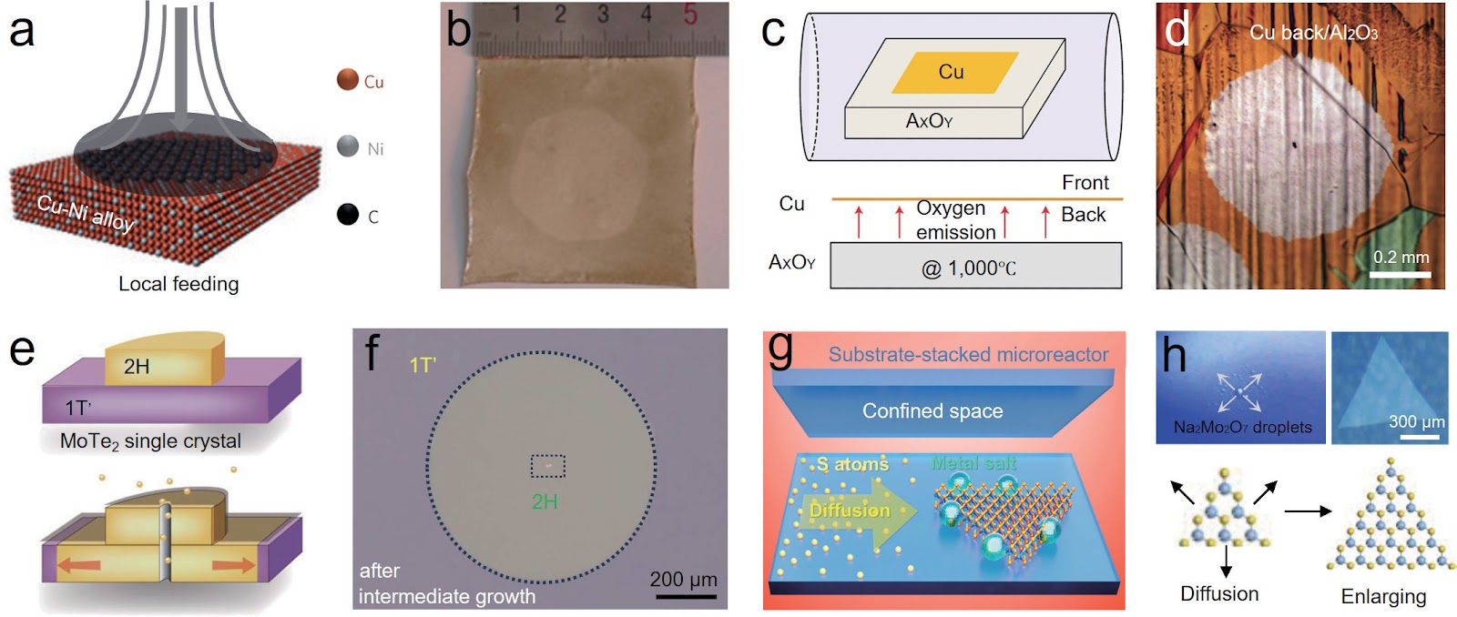 Nucleation control for the growth of two-dimensional single crystals