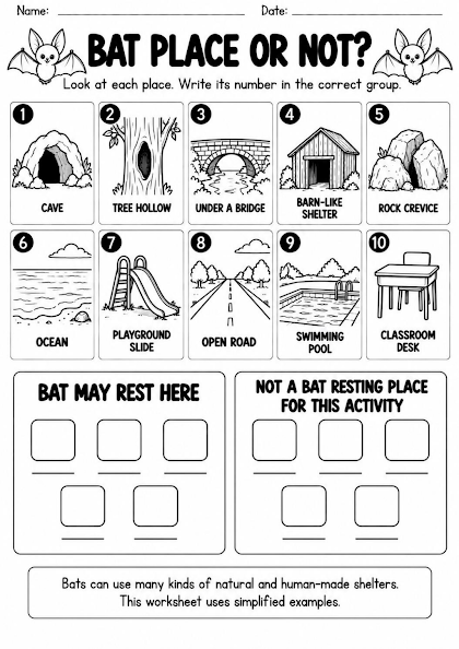 Bat Habitat Sorting Worksheet