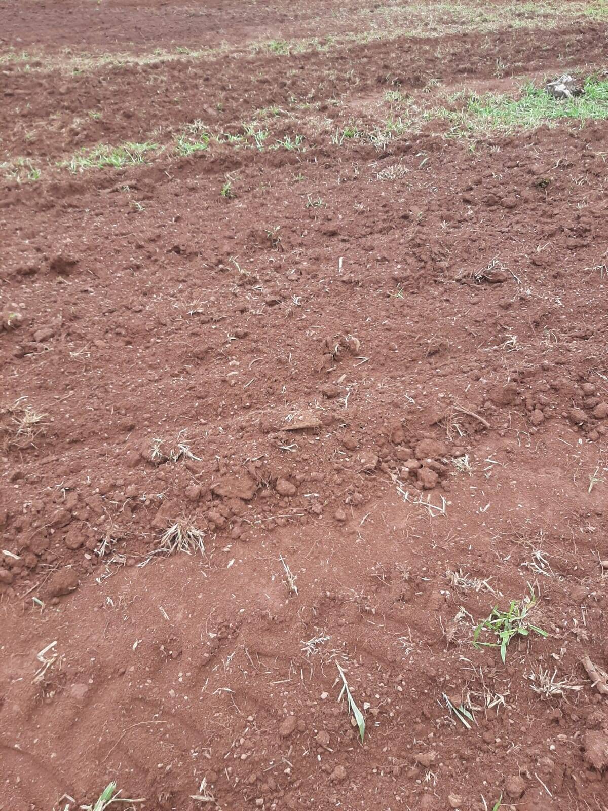 Fazenda no Município de Uruana - GO 8