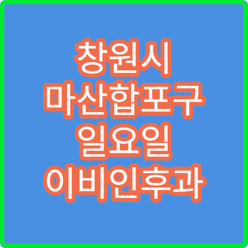 창원시 마산합포구 일요일 이비인후과 진료 병원 비염·중이염 치료 가능