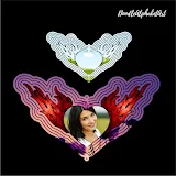 Heart Split Wind Spinner Canva Frame photo 6 template 186