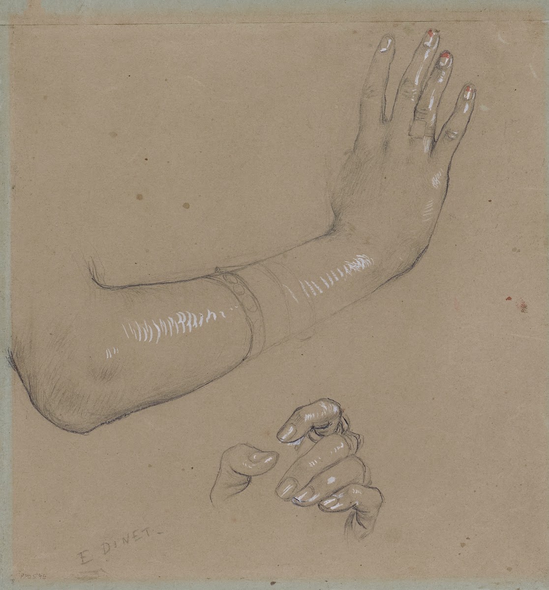 Etude de main et de doigts