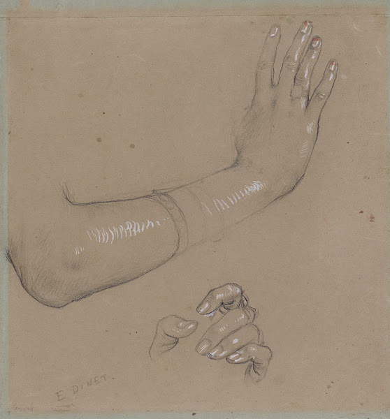 Etude de main et de doigts
