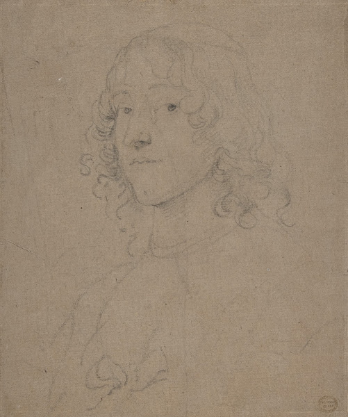 Portrait Study 163541