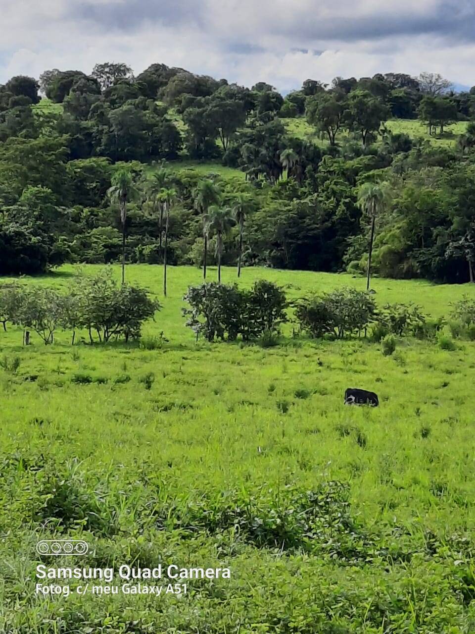 Fazenda em Formoso-GO 5