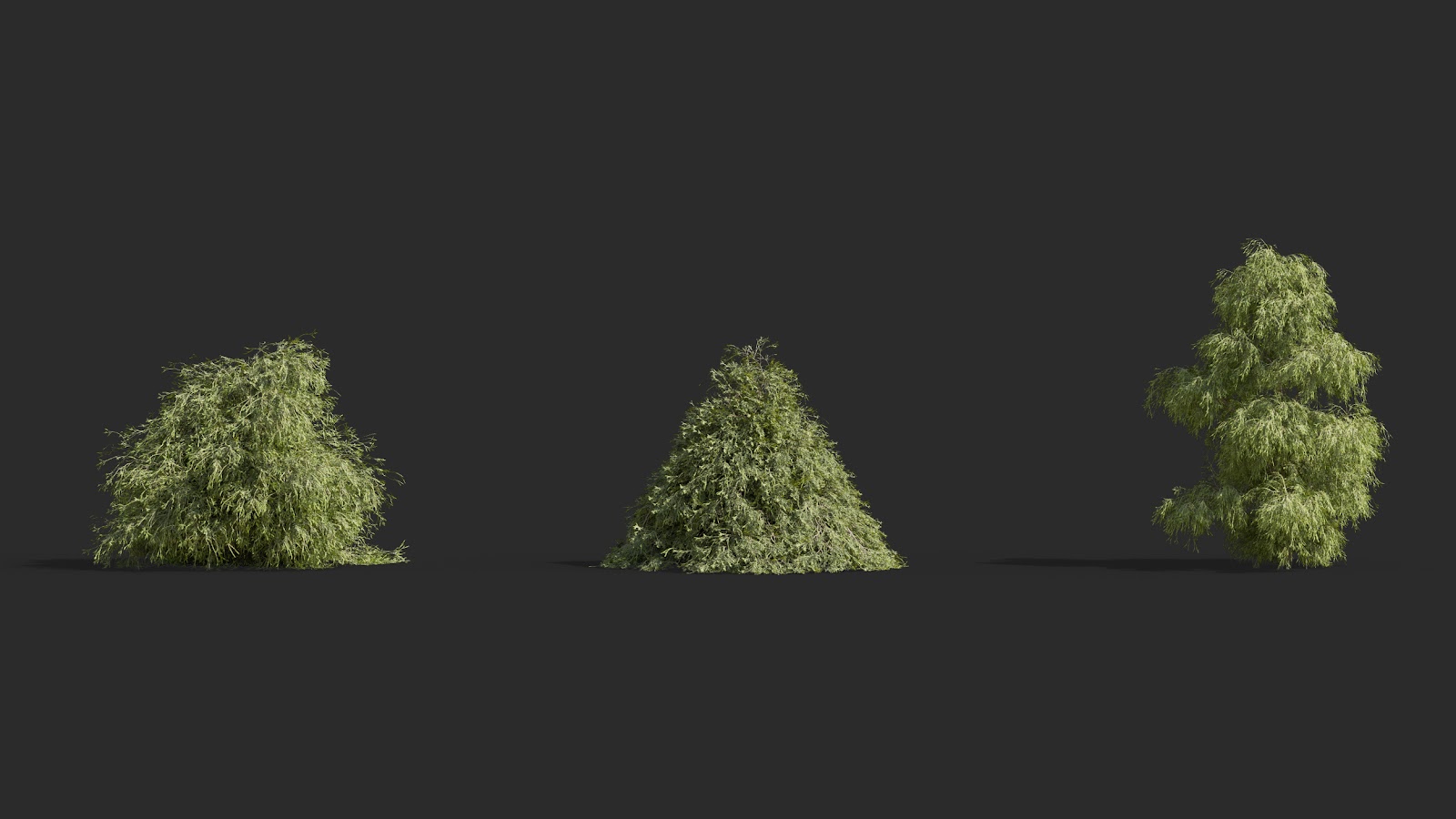 Maxtree - Plant Models Vol.63