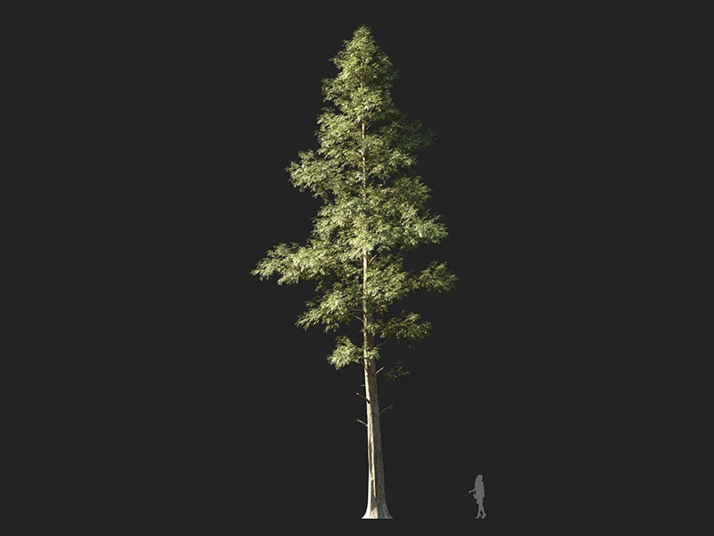 Maxtree - Plant Models Vol.132