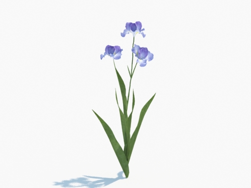 Maxtree - Plant Models Vol.3