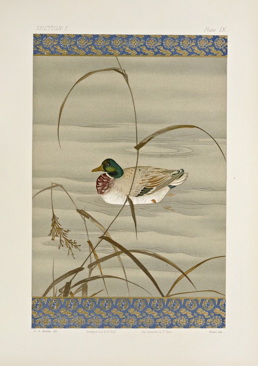 The ornamental arts of Japan Pl015 1882