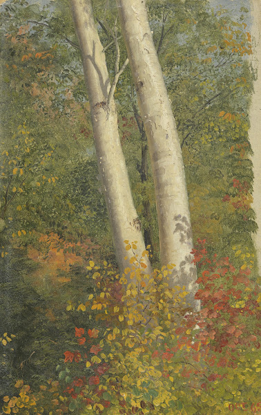 Birch Trees in Autumn 1865