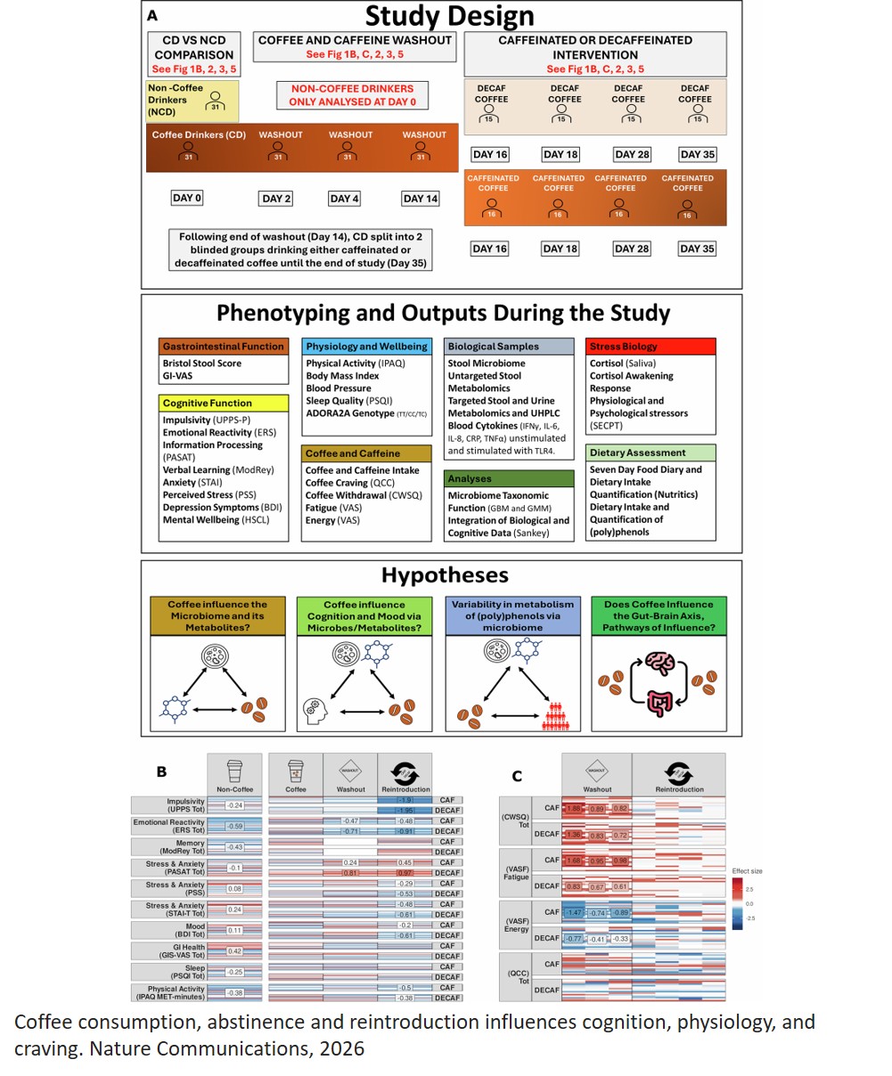 Habitual coffee intake shapes the gut microbiome and modifies host physiology and cognition