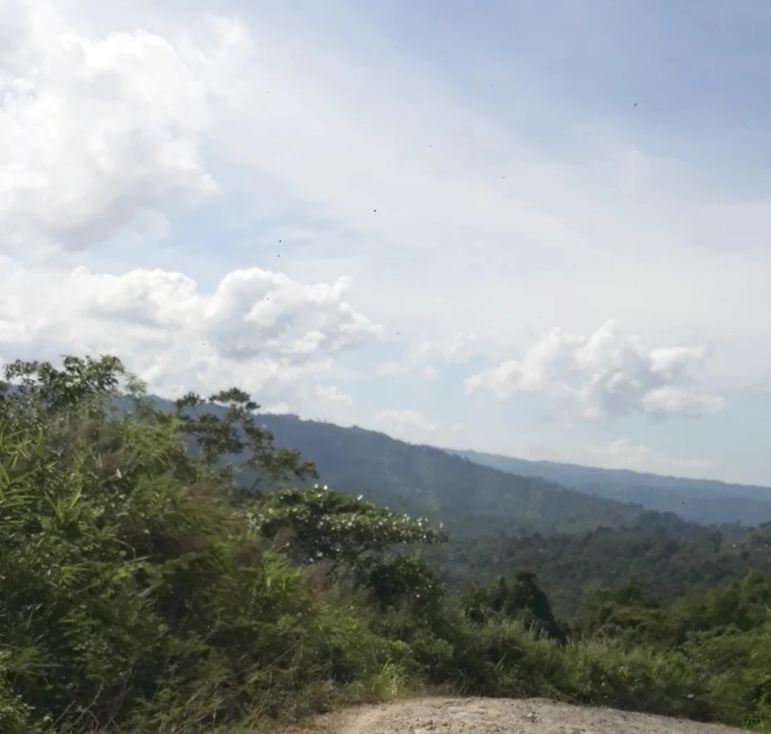 Keunikan Budaya dan Potensi Wisata Kabupaten Seluma, Bengkulu
