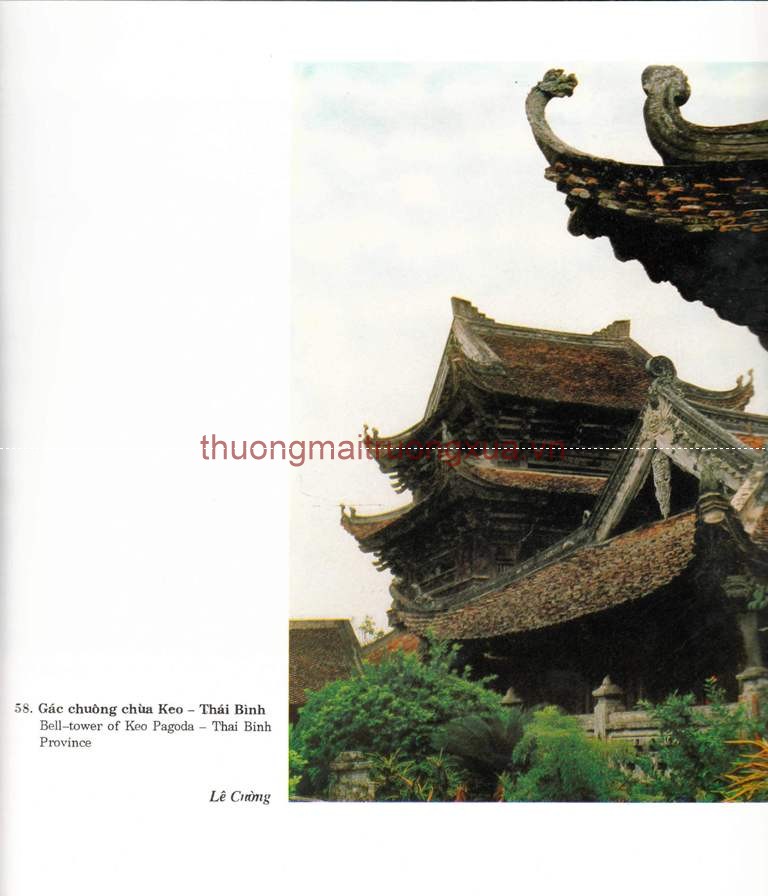 Tập san : Mực tím (số 66 - 1992) - Trang 65