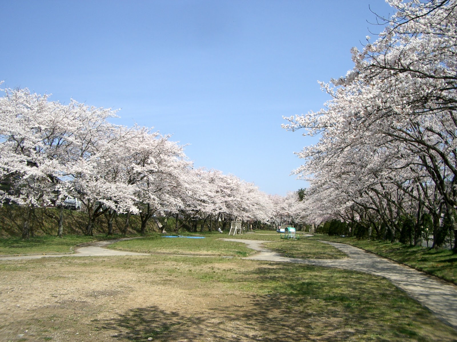 宮川緑地公園