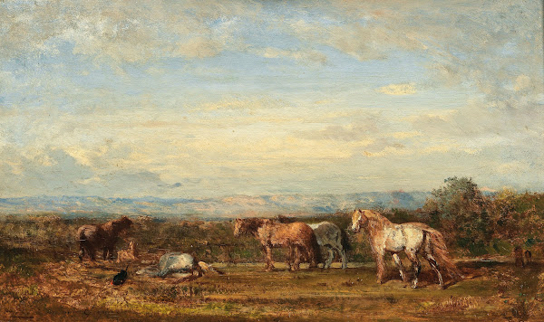 Les Chevaux Camarguais
