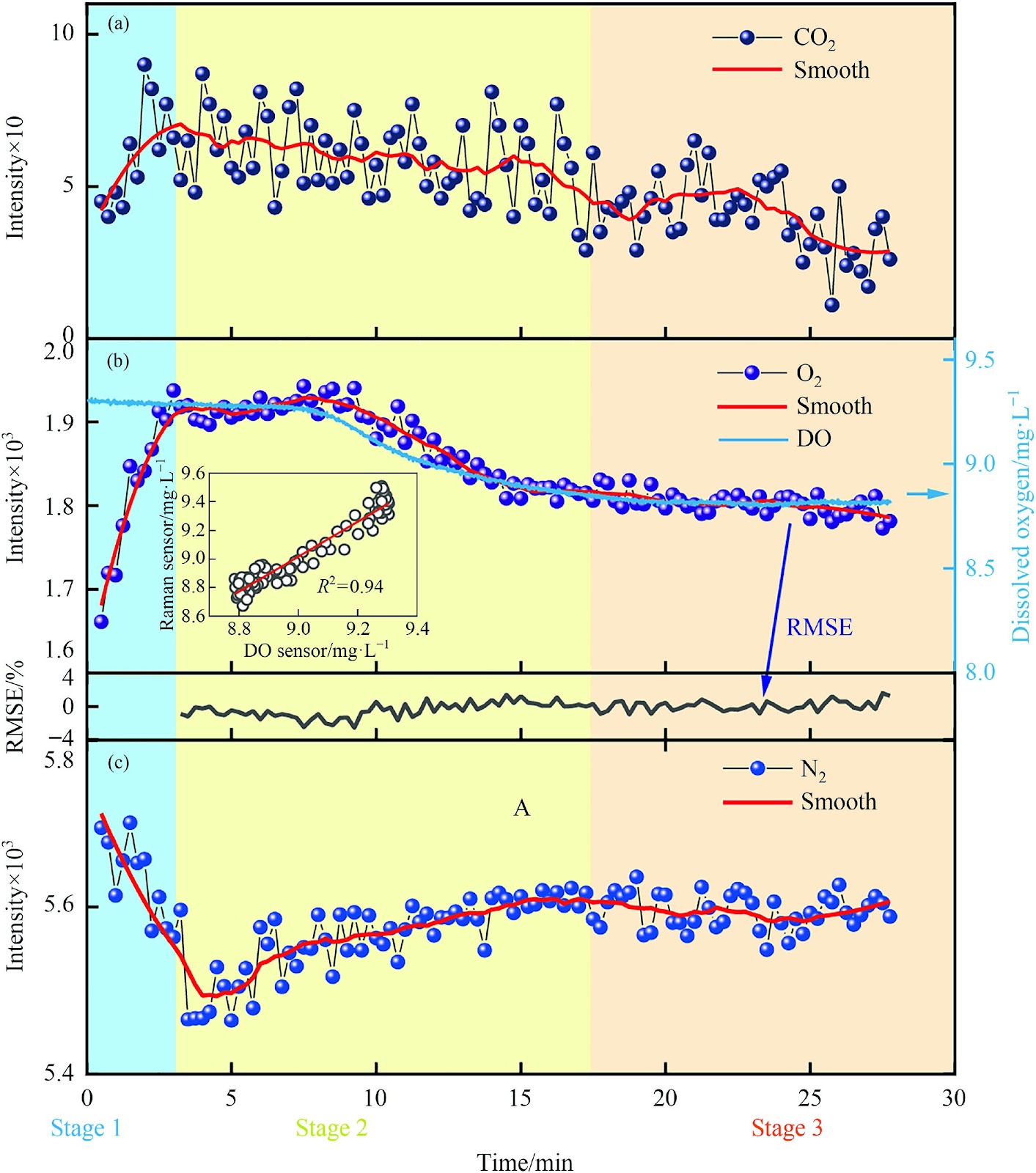 Rapid and real-time analysis of multi-component dissolved gas in seawater by Raman spectroscopy combined with continuous gas-liquid separator