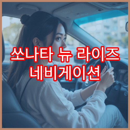 쏘나타 뉴 라이즈 네비게이션 업데이트 단계별 안내