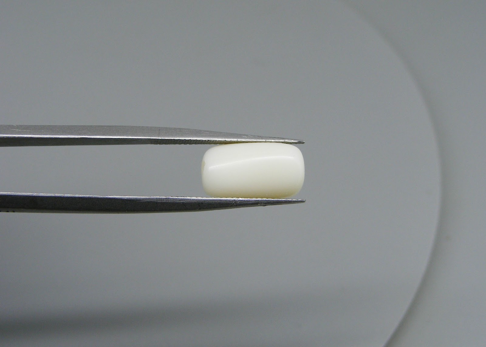 Natural White Coral