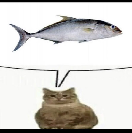 Ảnh bình luận