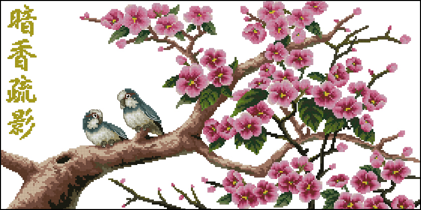 DOME41105 Apricot Tree