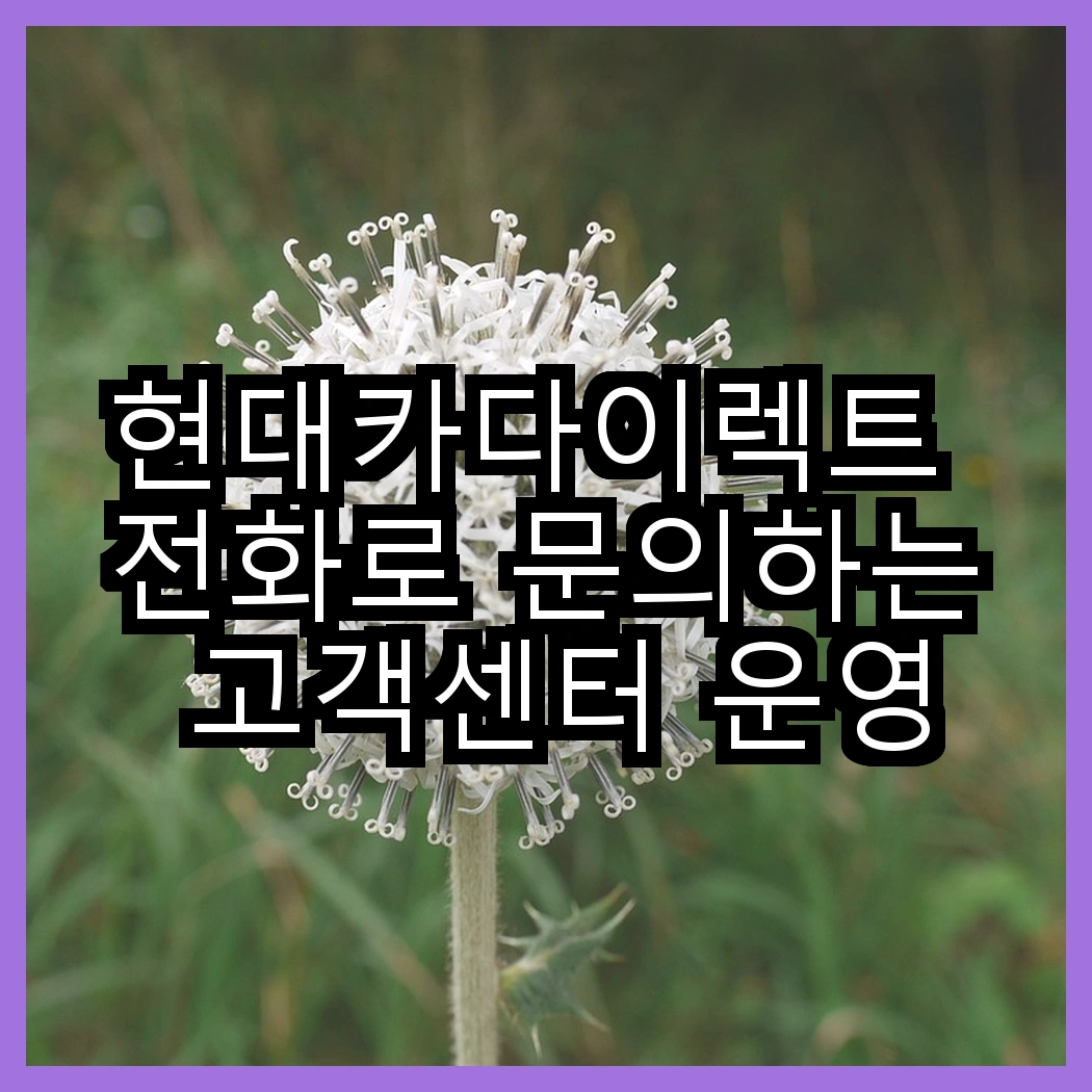 현대카다이렉트 전화로 문의하는 고객센터 운영시간 썸네일