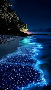 Glowing Blue Bioluminescent Waves on Dark Beach Shoreline