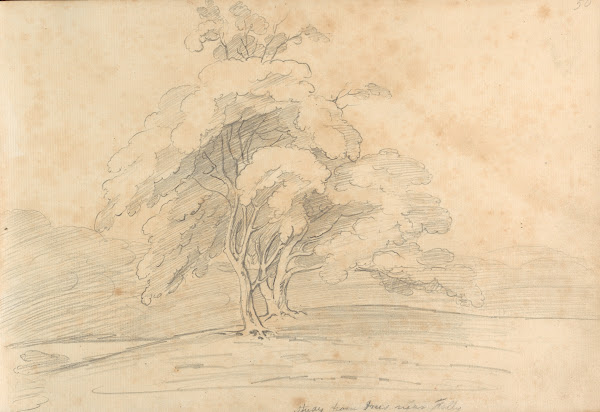 Study from trees near Folly