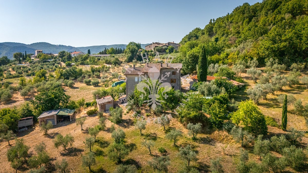 קזאלה דיי צ'ילייג'י (Casale dei Ciliegi) — 3