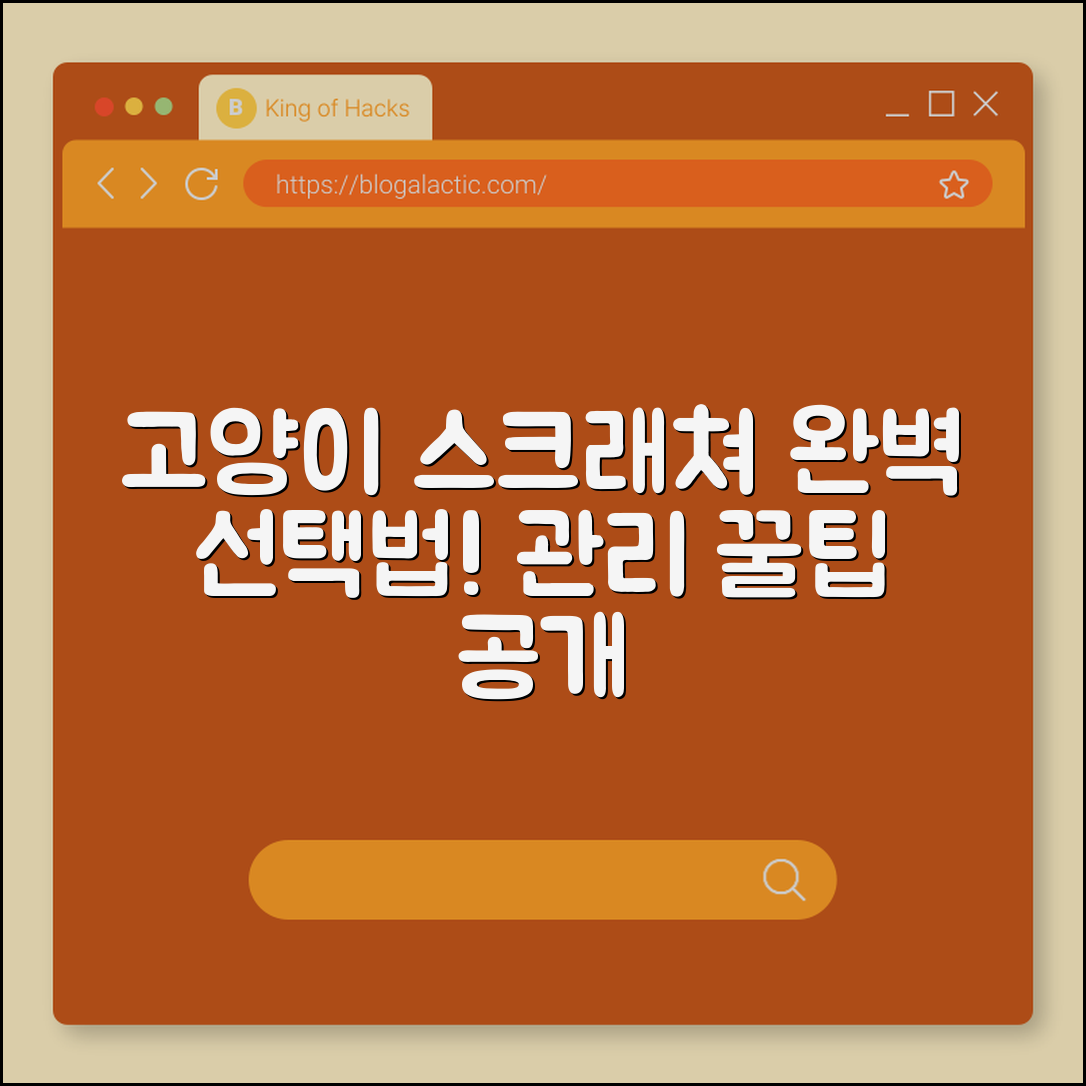 고양이스크래쳐 완벽 가이드: 선택부터 관리법까지