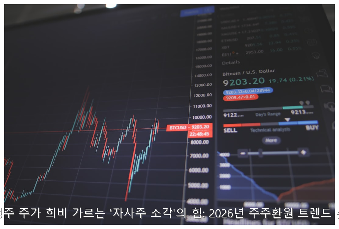 대형주 주가 희비 가르는 '자사주 소각'의 힘: 2026년 주주환원 트렌드 분석 핵심 안내 및 분석 인포그래픽 (5)