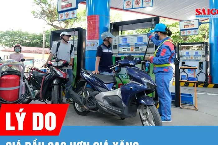 Vì sao giá dầu cao hơn giá xăng? - Báo Sài Gòn Giải Phóng