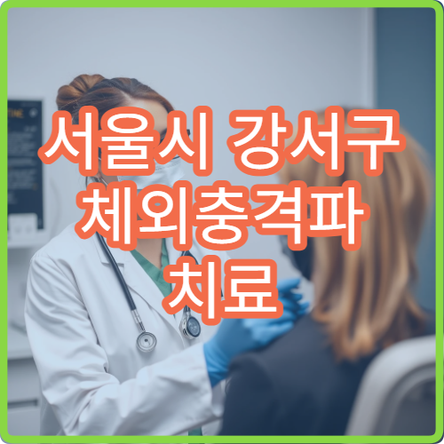 서울시 강서구 체외충격파 치료 통증·근골격 재활 전문 정형외과
