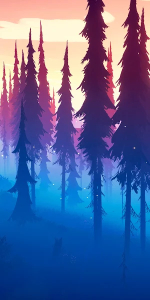 Forest, Trees, Landscape, Sunset 4K Wallpaper Background