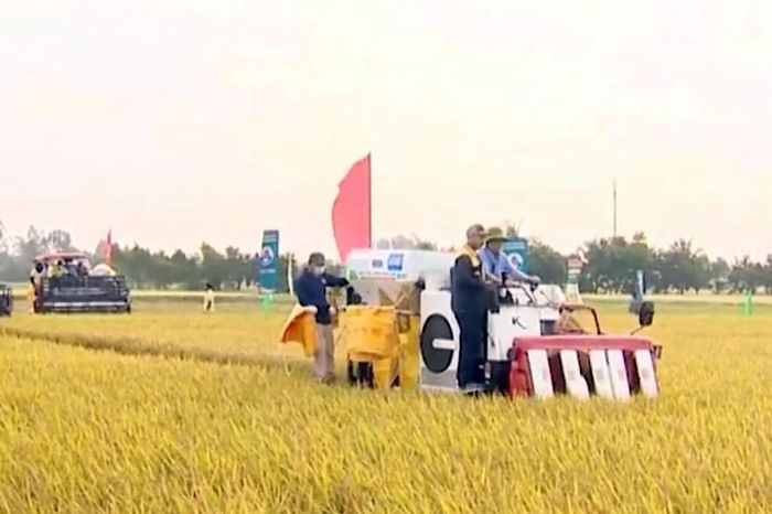 Đề án 1 triệu ha lúa, hình thành chuỗi giá trị thúc đẩy địa phương vào cuộc - Báo Điện tử Tiếng nói Việt Nam