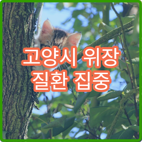 고양시 위장 질환 집중 관리 한방 병원 리스트