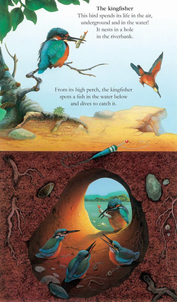 Animals Underground PB - thumbnail 3