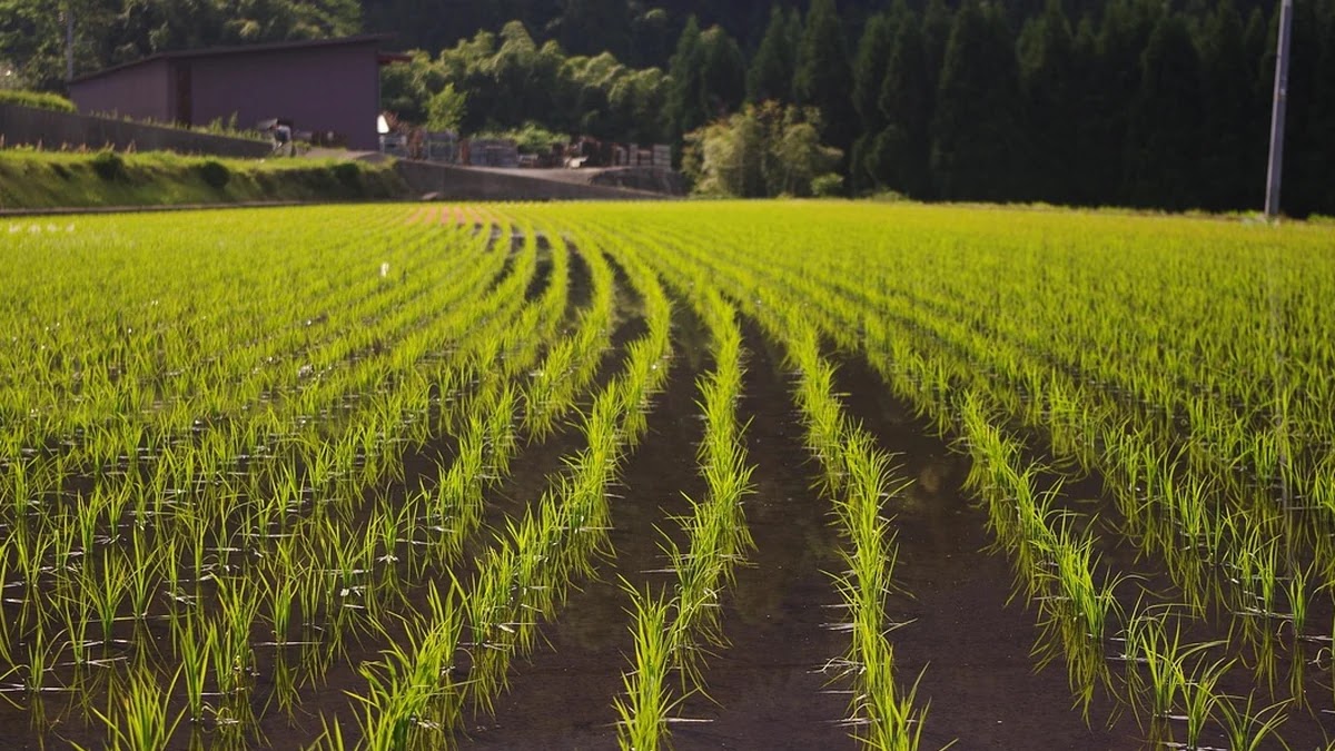 원달러 환율 변동에 영향을 미치는 주요 경제지표와 메커니즘