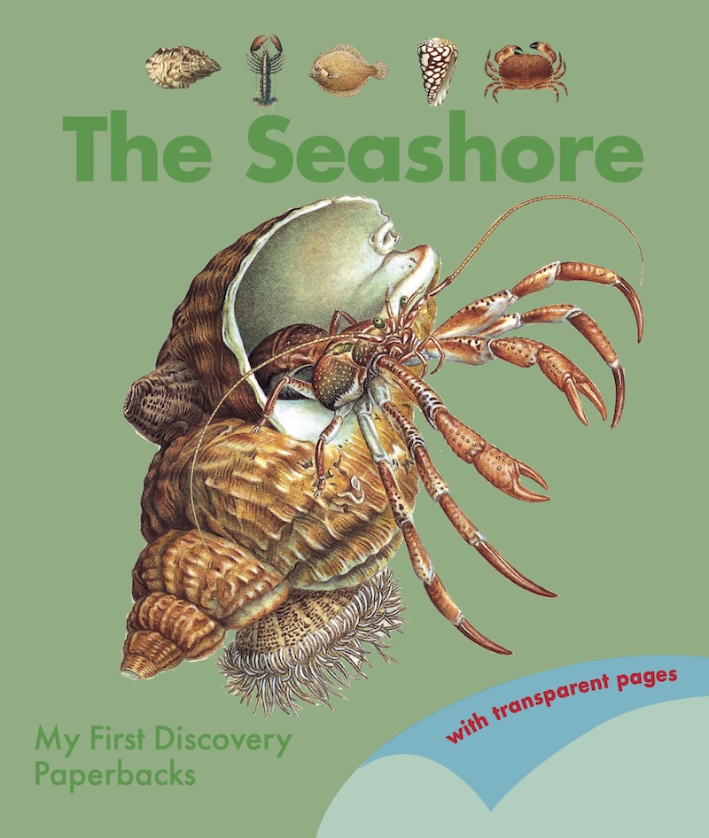 The Seashore PB