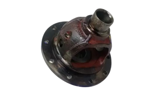 DIFFERENTIAL CASE