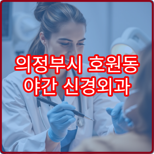 의정부시 호원동 야간 신경외과 목디스크 팔저림 진료 병원 안내
