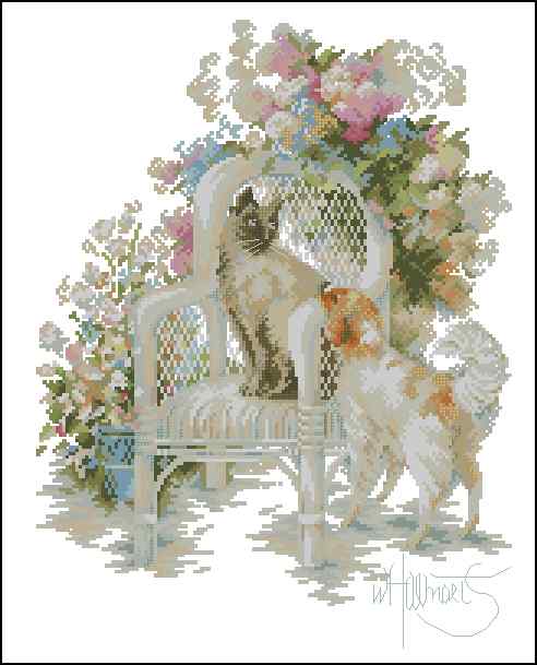 CMP 400161 Poes In Zetel En Hond
