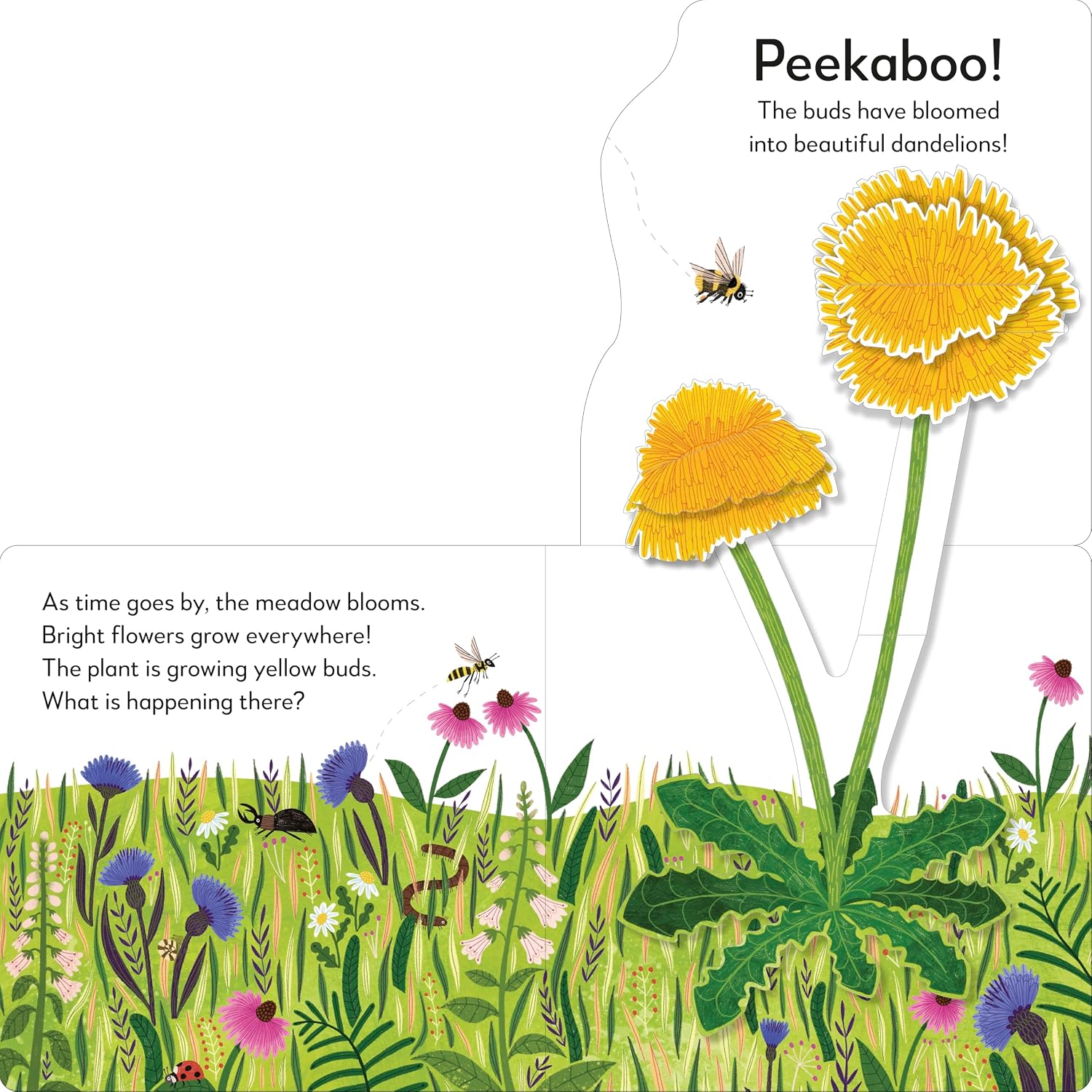 Pop-Up Peekaboo! Flower - thumbnail 3
